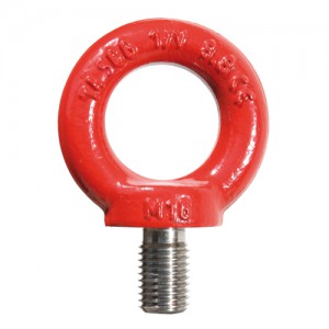 Standard Eyebolts 8.8 Grade