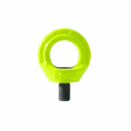 Anchorage Devices Eyebolts