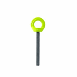 Anchorage Devices Eyebolts