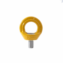 Anchorage Devices Eyebolts