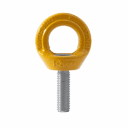 Anchorage Devices Eyebolts