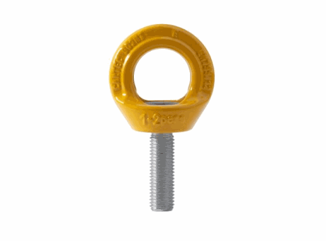 Anchorage Devices Eyebolts
