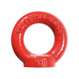 Eye Nut 8.8
