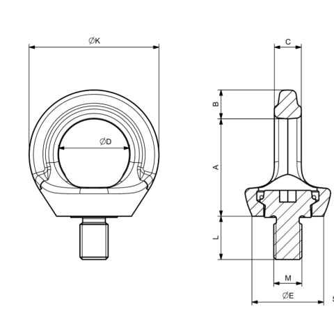 Anchorage Devices Eyebolts