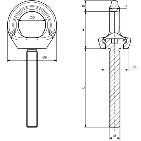 Anchorage Devices Eyebolts