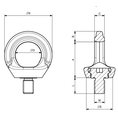 Anchorage Devices Eyebolts