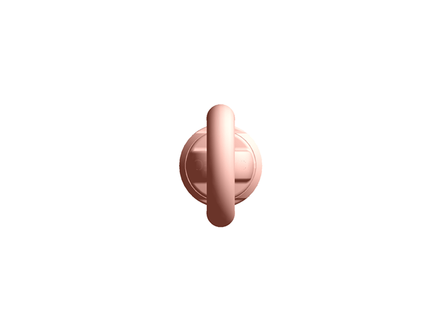 Rotating Eyebolt With Ring-800X