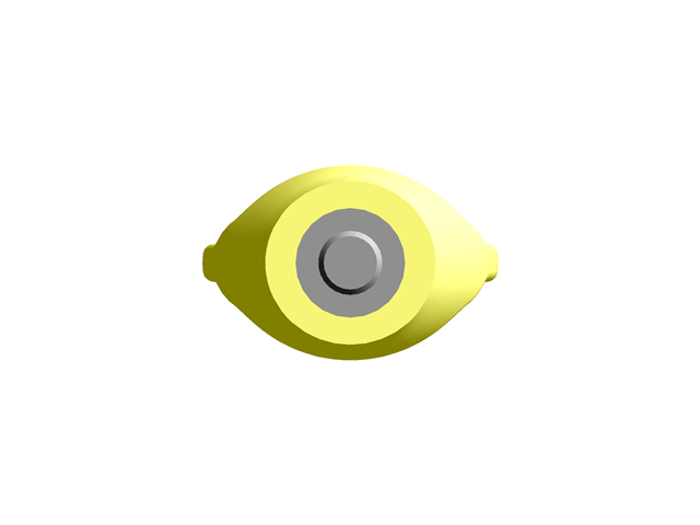 Anchorage Devices Eyebolts