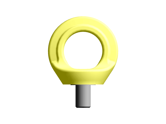 Anchorage Devices Eyebolts