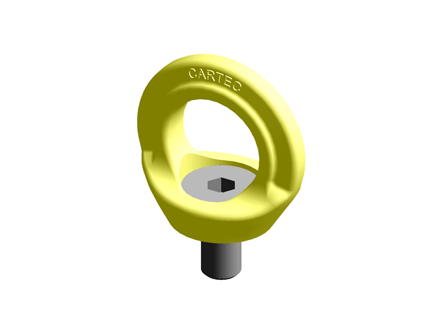 Anchorage Devices Eyebolts