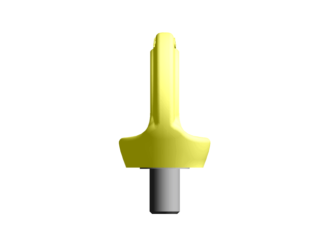 Anchorage Devices Eyebolts