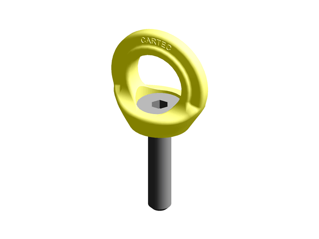 Anchorage Devices Eyebolts