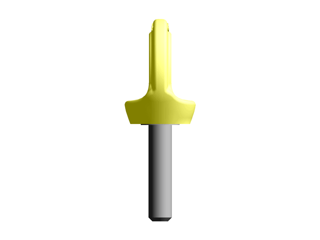 Anchorage Devices Eyebolts